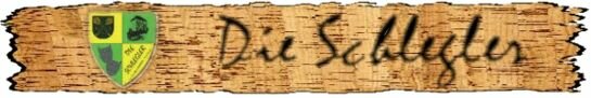 Logo Schlegler