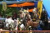 Braunfelser Spektakulum
