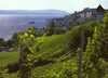 HM Meersburg