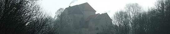 Die Tannenburg: Die Burg