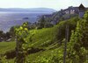 HM Meersburg