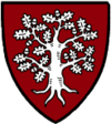 Hammaborg
